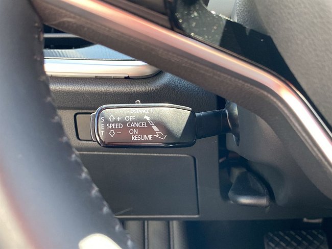 20199284.jpg