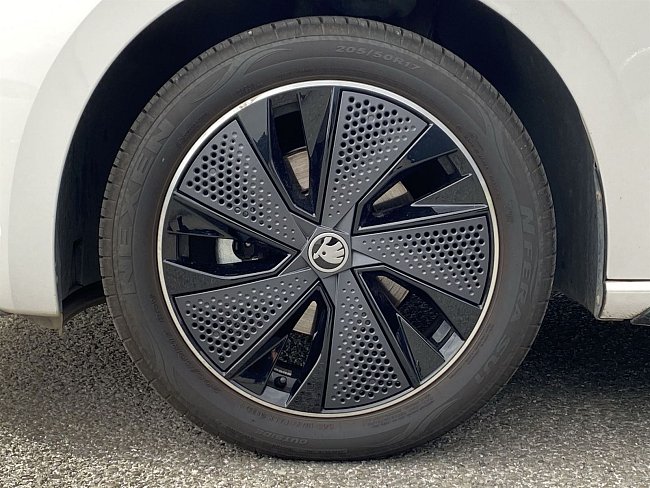 20195503.jpg
