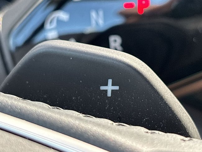 20195569.jpg