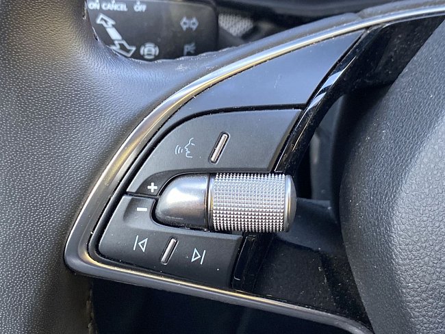 20195737.jpg