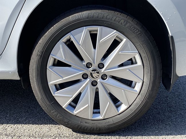 20195799.jpg