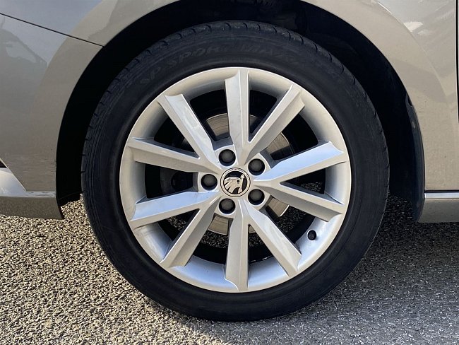 20195677.jpg