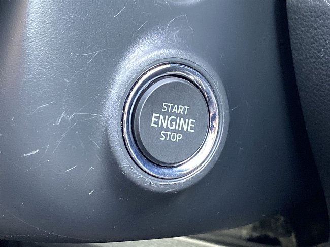 20195684.jpg