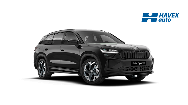 kodiaq-1Z1Z-img-front.png