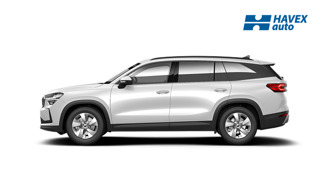 kodiaq-selection-2Y2Y-img-side.png